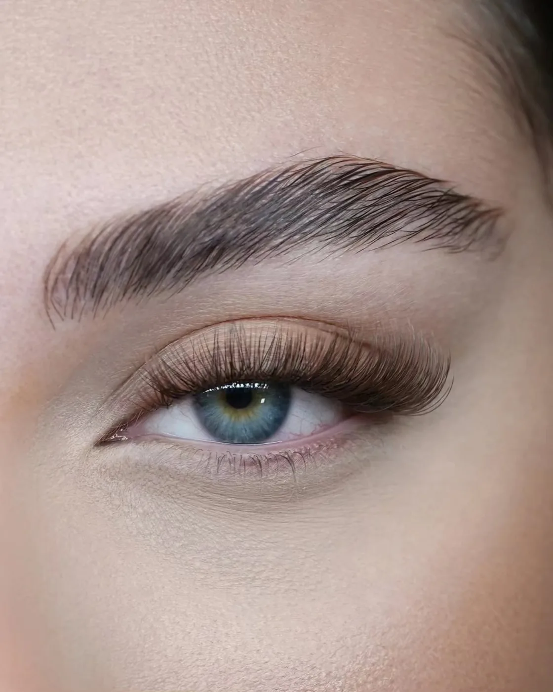 Close-up of one eye with long lash extensions and defined brow
