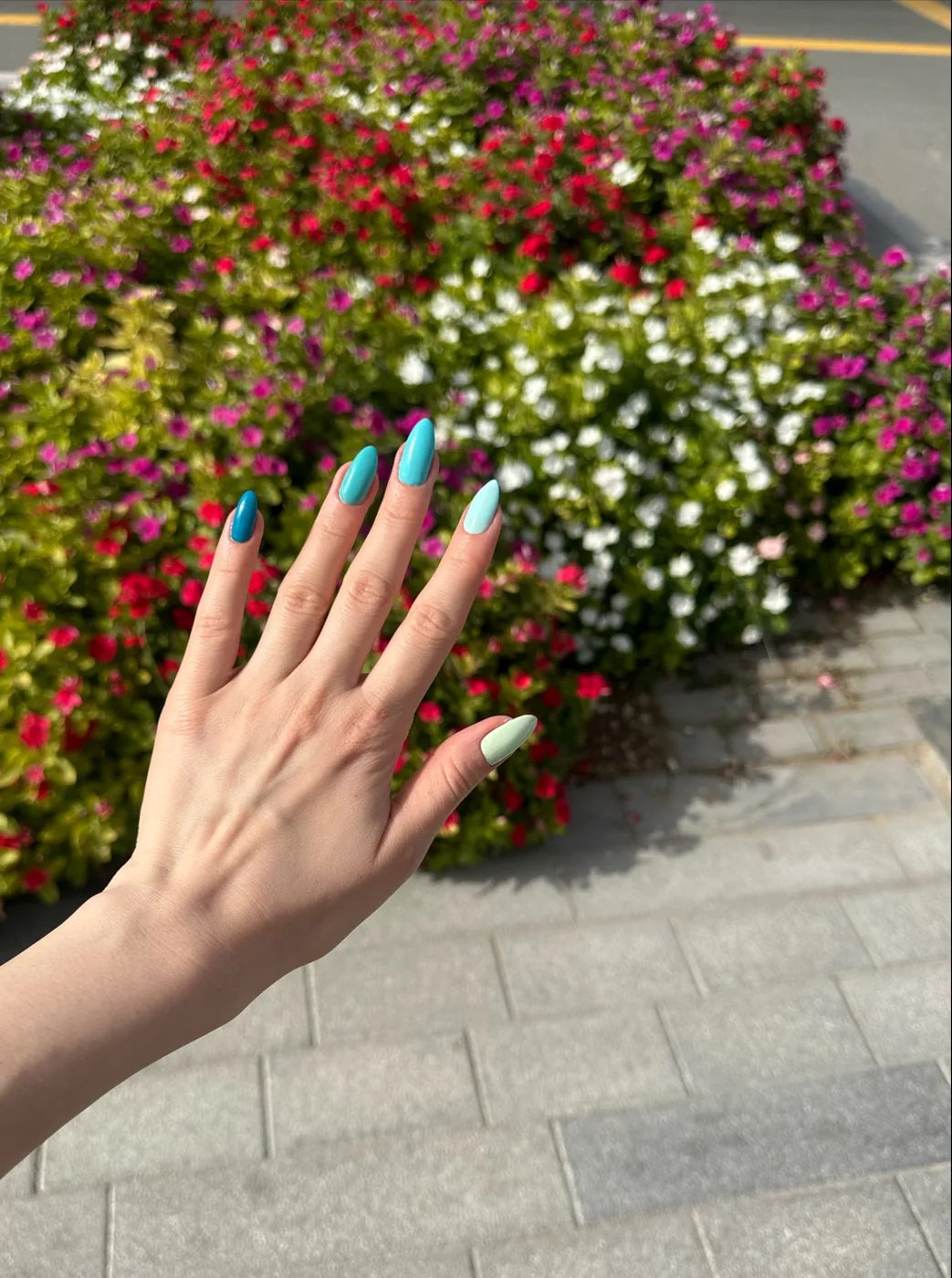 Hand with long teal, blue and mint nails raised in front of flowering shrubs