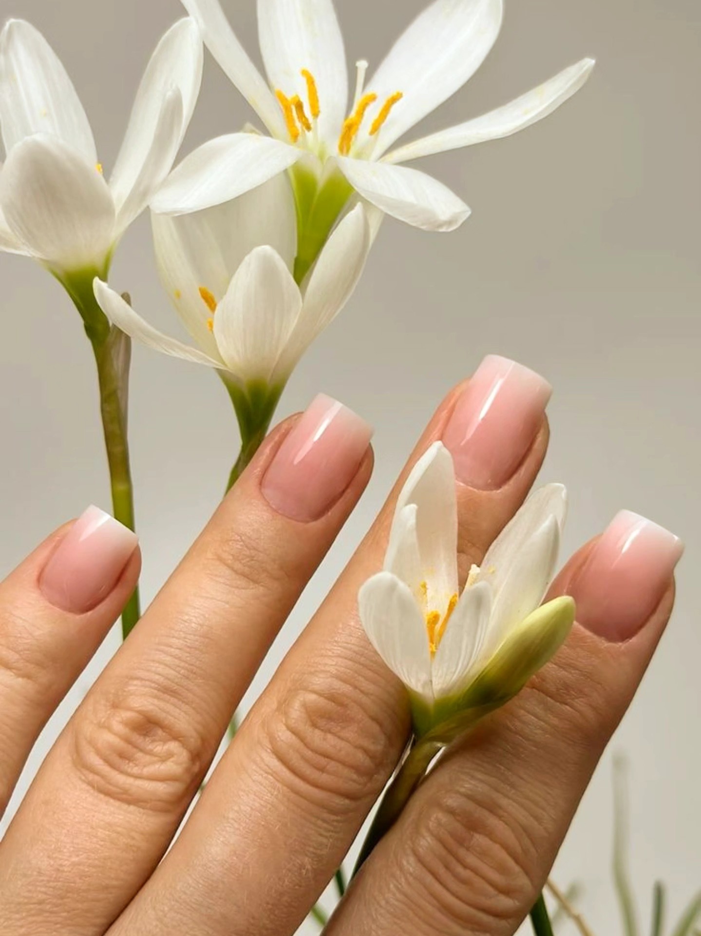 French tip nails at Para Ella nail salon Dubai